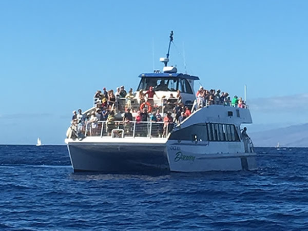 cruise watcher cruise watcher