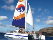 hawaii nautical west oahu whale watch cruise